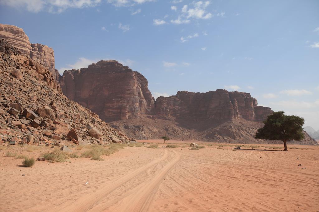 Bedouin Expedition ワディ ・ラム エクステリア 写真