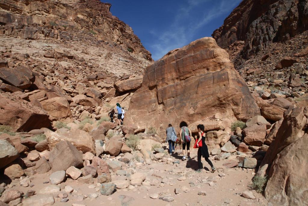 Bedouin Expedition ワディ ・ラム エクステリア 写真