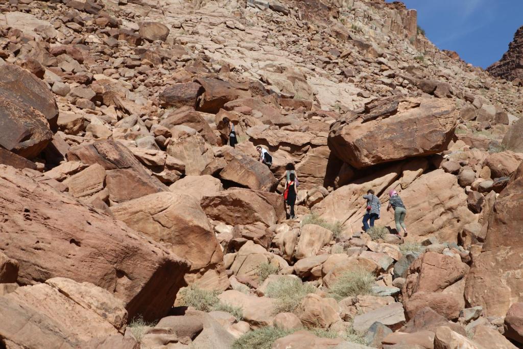 Bedouin Expedition ワディ ・ラム エクステリア 写真