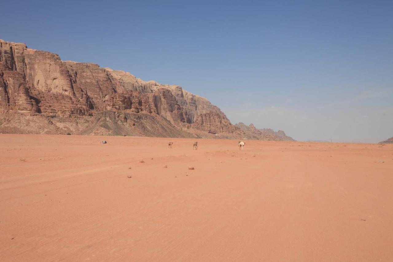 Bedouin Expedition ワディ ・ラム エクステリア 写真