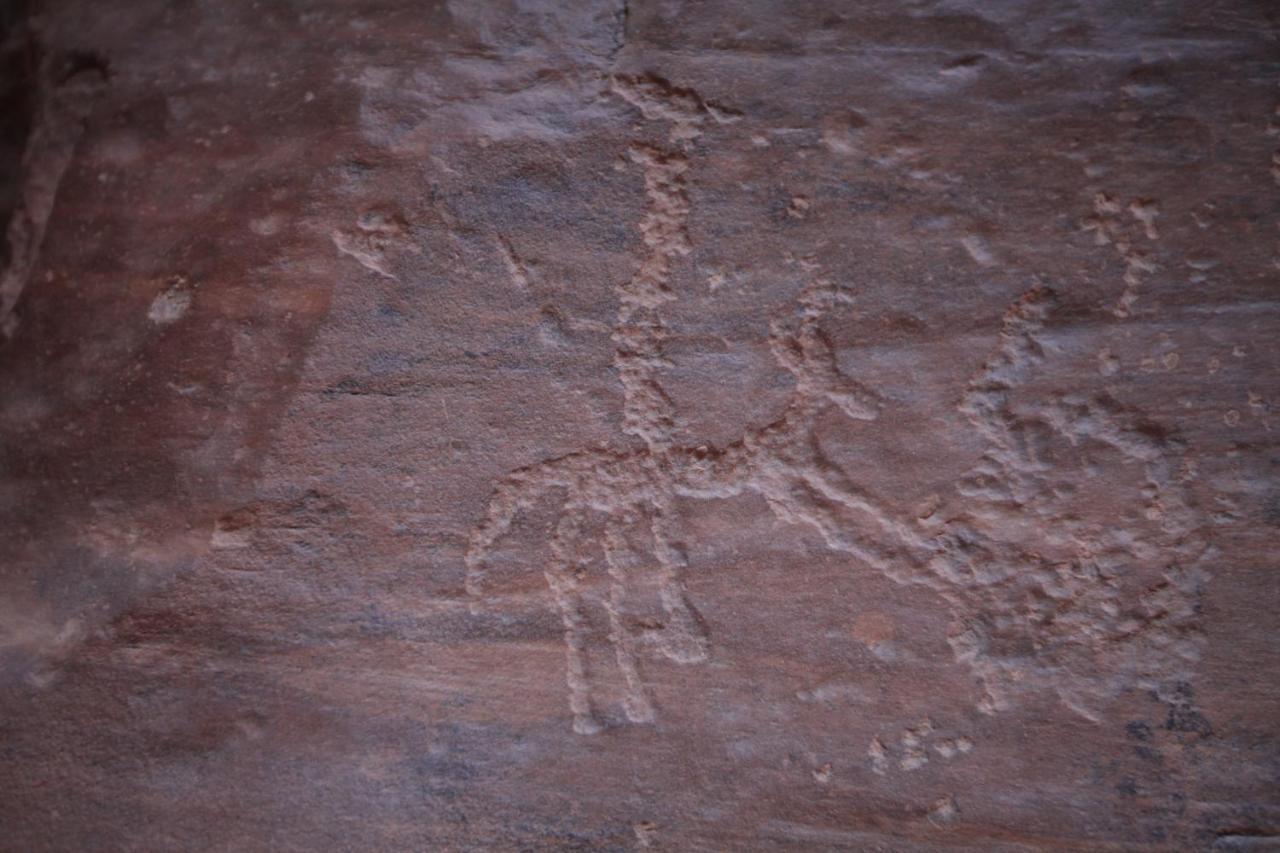 Bedouin Expedition ワディ ・ラム エクステリア 写真